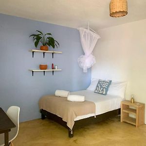 Habitación Doble Estándar